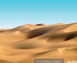 Dunes Oil Services Company
