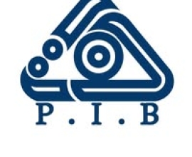 Investment Promotion and Privatization Affairs Authority