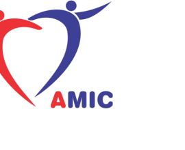 شركة الليبية للتأمين الصحي AMIC
