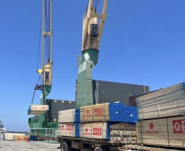 Canary Shipping Agency Company