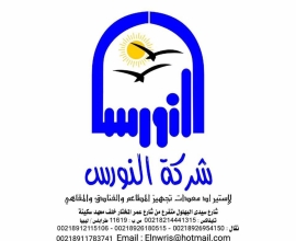 Elnwris company