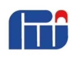 Professional Work Co. for Petroleum Services( PWPS)